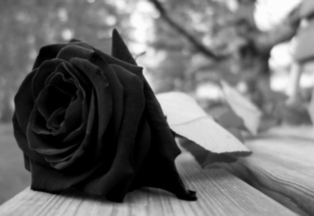 Adolescente de 14 anos morre após tentar jardar usando “caldo para tempero”