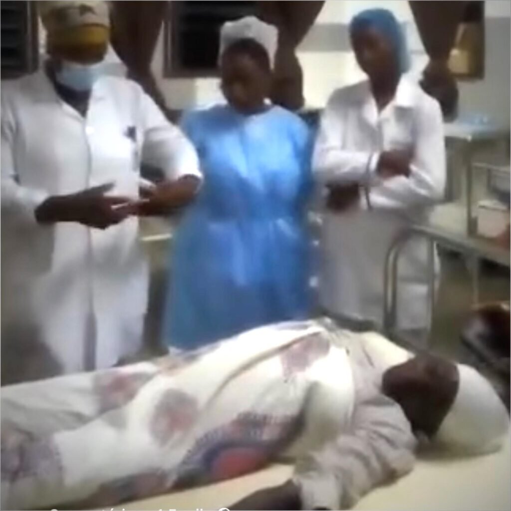 Mulher terá dado à luz um gato num hospital de Moçambique, após nove meses de gestação Mulher terá dado à luz um gato num hospital de Moçambique, após nove meses de gestação