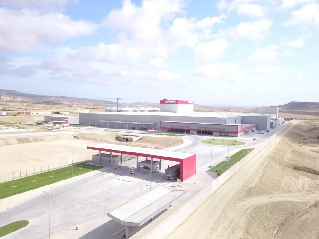 A Origem e o processo da evolução do gigante Grupo Carrinho