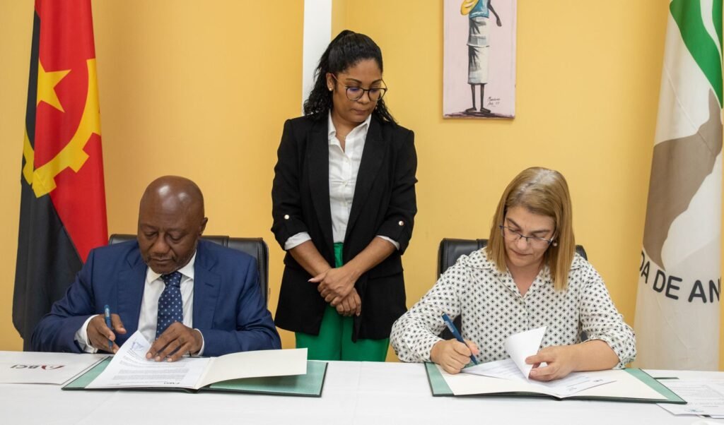 BCI apoia o ensino de excelência com 200 bolsas de estudo para ensino superior