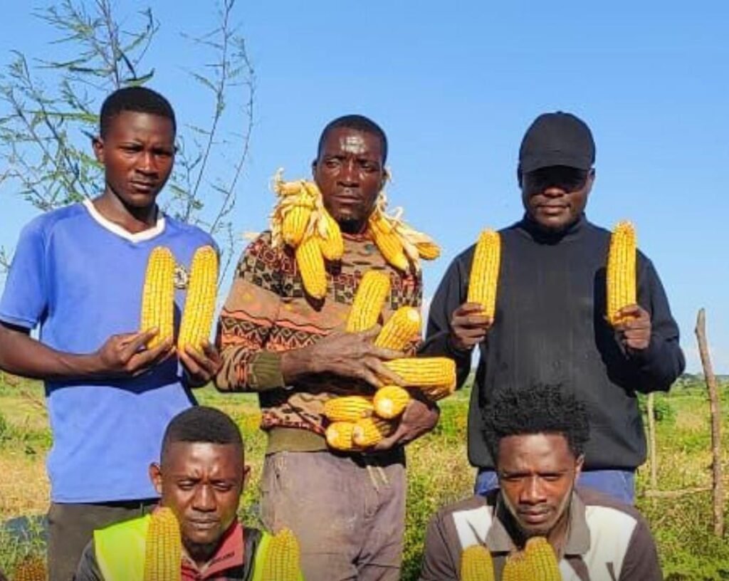 Produtores locais transitam da agricultura de subsistência para negócios rentáveis e prósperos com apoio da Carrinho Agri