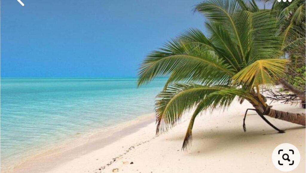 Presidente da República cria comissão de avaliação para transformar ilha do Mussulo em área turística