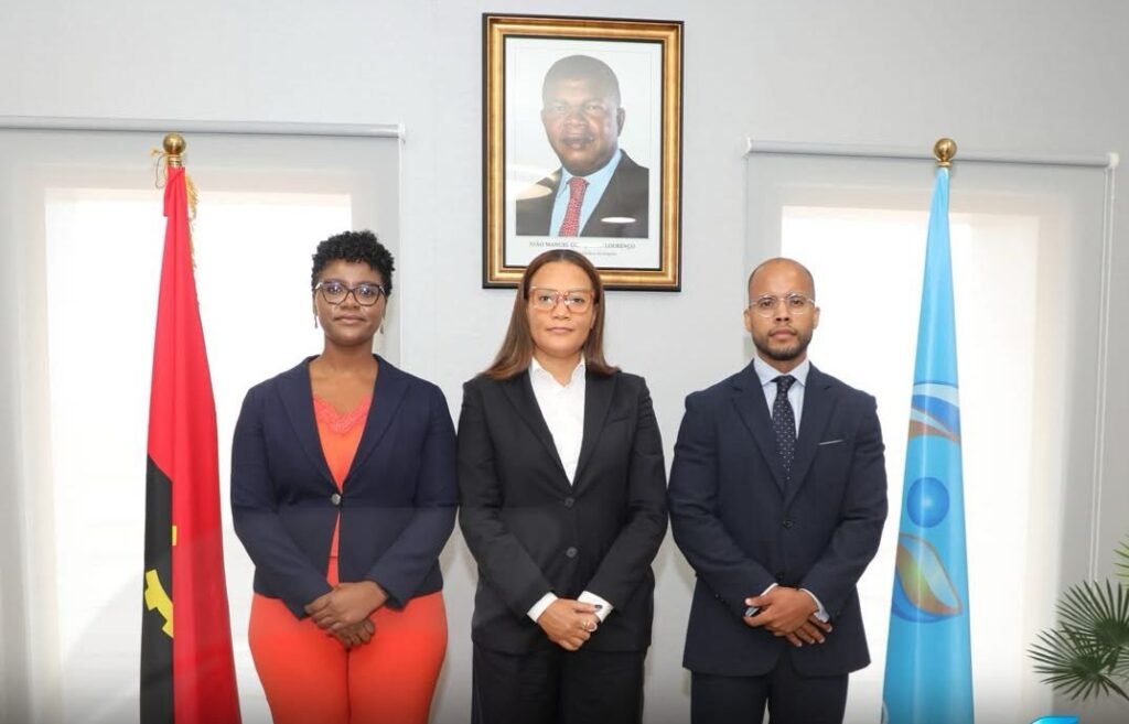 Rede Girassol anuncia novo Conselho de Administração Rede Girassol anuncia novo Conselho de Administração