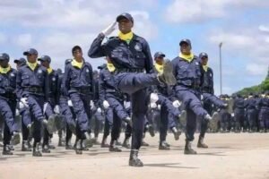 SME quer confirmar autenticidade dos certificados antes de enquadrar novos efectivos