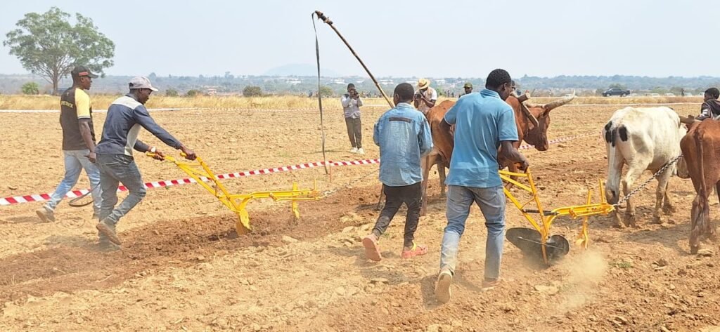 Carrinho Agri implementa programa de mecanização agrícola