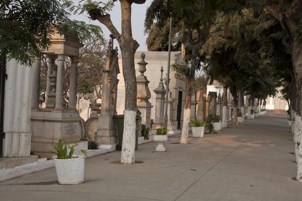 Governo impõe BI obrigatório para registo de óbitos em Angola