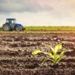 Angola recebe financiamento europeu para o sector Agrícola