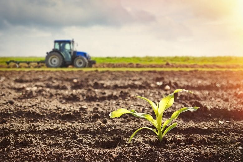 Angola recebe financiamento europeu para o sector Agrícola Angola recebe financiamento europeu para o sector Agrícola